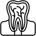 Endodontia Icon