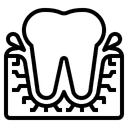 Periodontia Icon